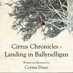 Cirrus Chronicles- Landing in Ballynelligan