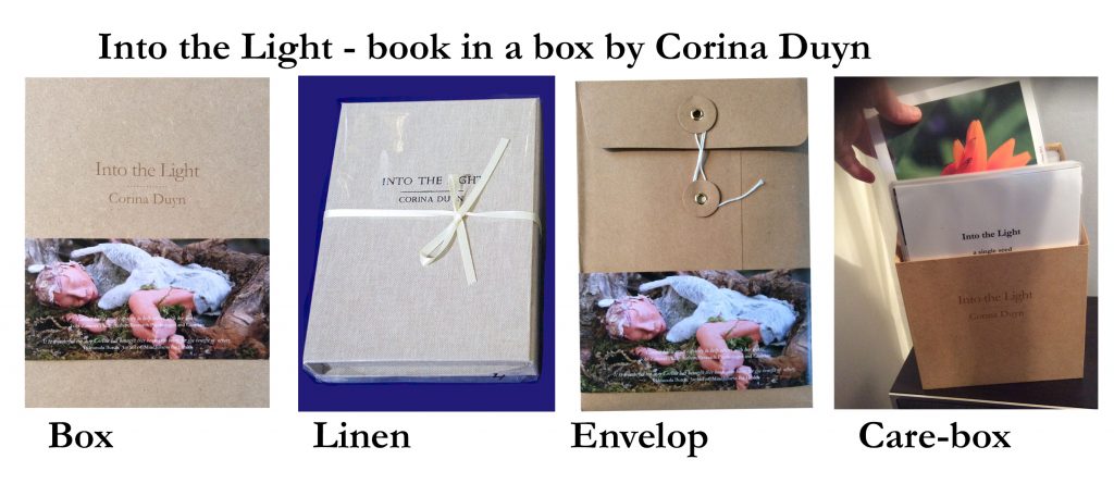 four version of Into the Light book in a box by Corina Duyn